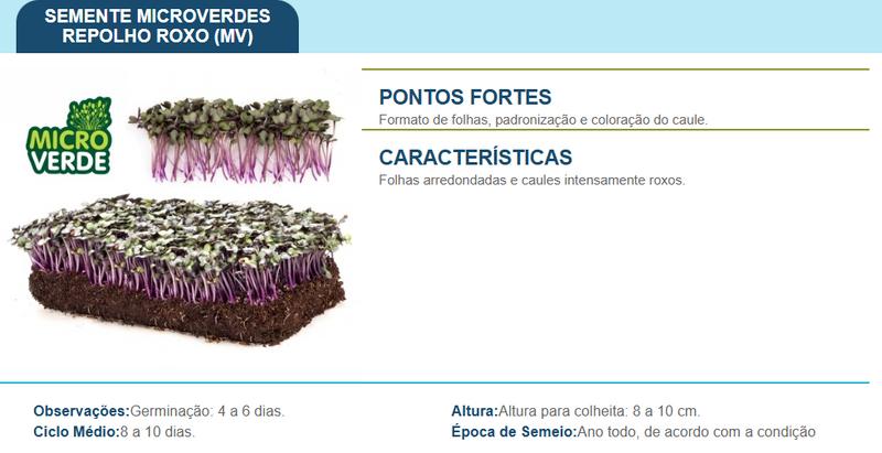 SEMENTES MICROVERDE REPOLHO ROXO TOPSEED 500G
