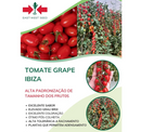 TOMATE GRAPE CEREJA HIBRIDO IBIZA EWS 500 SEMENTES