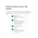 FUNCHO HÍBRIDO TAURO ERVA DOCE HORTICERES 5000 SEMENTES