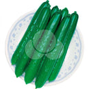 PEPINO JAPONES HIBRIDO TSUBASA TAKII SEED 350 SEMENTES