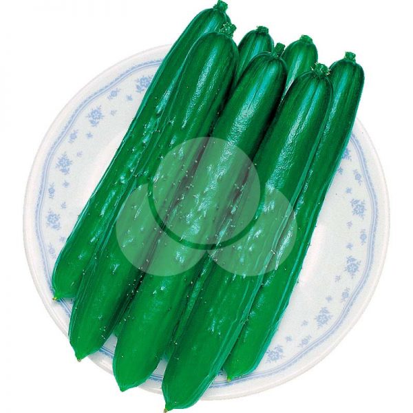 PEPINO JAPONES HIBRIDO TSUBASA TAKII SEED 350 SEMENTES