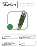 Sementes Cebolinha Tokyo Kuro Horticeres 100g