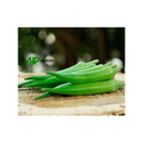 QUIABO TROPICAL TOPSEED PREMIUM 3000 SEMENTES