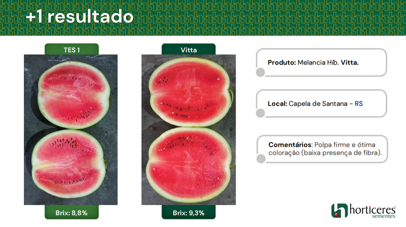 MELANCIA HIBRIDA VITTA HORTICERES 1000 SEMENTES