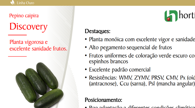 PEPINO CAIPIRA HIBRIDO DISCOVERY HORTICERES 1000 SEMENTES
