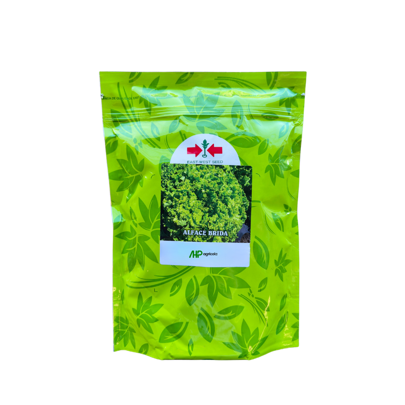 ALFACE CRESPA BRIDA EWS 25000 SEMENTES