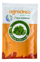 SEMENTES RUCULA FOLHA LARGA AGROCINCO 100G