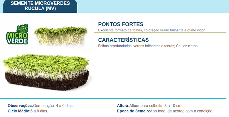 SEMENTES MICROVERDE RUCULA VELOSTER TOPSEED 500G