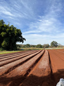 ADUBO NPK NUTRISOYA 04-30-10 PLANTIO 50KG