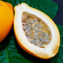 MARACUJA HIBRIDO MEL DO CERRADO AGROCINCO/EMBRAPA 500 SEMENTES