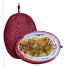 MARACUJA HIBRIDO RUBI DO CERRADO AGROCINCO/EMBRAPA 500 SEMENTES