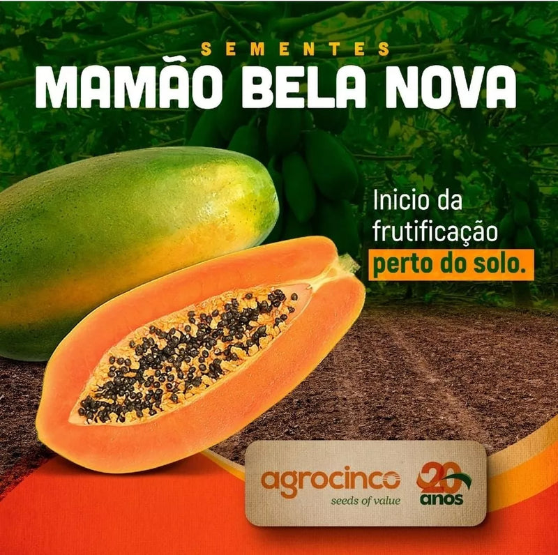 MAMAO HIBRIDO BELA NOVA AGROCINCO/EMBRAPA 1000 SEMENTES