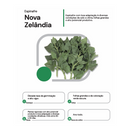SEMENTES ESPINAFRE NOVA ZELANDIA HORTICERES 3KG