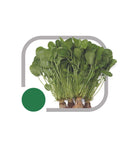 Sementes Agriao Da Terra Onix Horticeres 100g