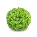 ALFACE CRESPA BS AC0054 BLUESEEDS 7500 SEMENTES