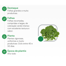 SEMENTES RUCULA FOLHA LARGA HORTICERES 500G