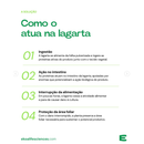 BIOINSETICIDA SARGAS BACILLUS THURINGIENSIS 1L