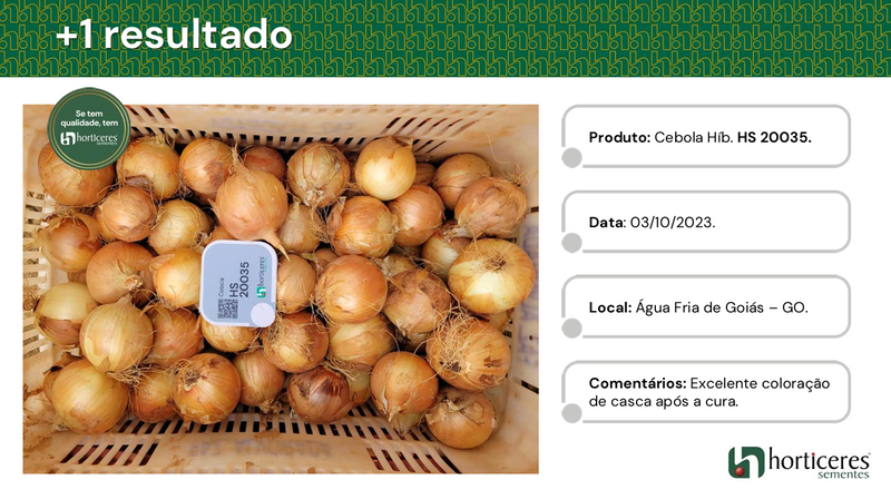 CEBOLA HÍBRIDA RAÍZA HORTICERES 100.000 SEMENTES