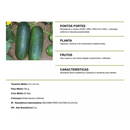 PEPINO HIBRIDO CONCORD F1 TOPSEED PREMIUM 3000 SEMENTES