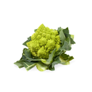 ROMANESCO COUVE FLOR HÍBRIDO PUNTOVERDE RIJK ZWAAN 1000 SEMENTES