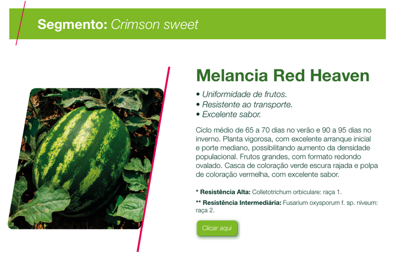 MELANCIA HIBRIDA RED HEAVEN SEMINIS 1000 SEMENTES