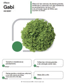 ALFACE MIMOSA GABI HORTICERES 5000 SEMENTES