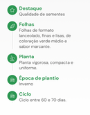 SEMENTES ALMEIRAO SPADONA FOLHA FINA HORTICERES 100G