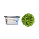 ALFACE LISA SALANOVA EULER RIJK ZWAAN 1000 SEMENTES