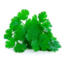 SEMENTES COENTRO REI FELTRIN 250G