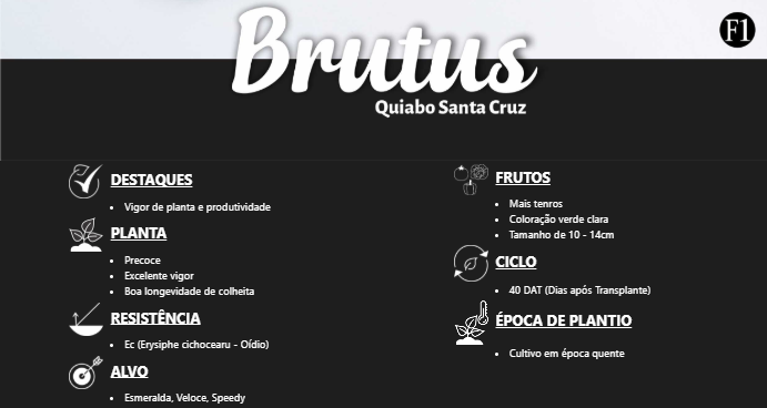 QUIABO HÍBRIDO BRUTUS F1 FELTRIN 10000 SEMENTES