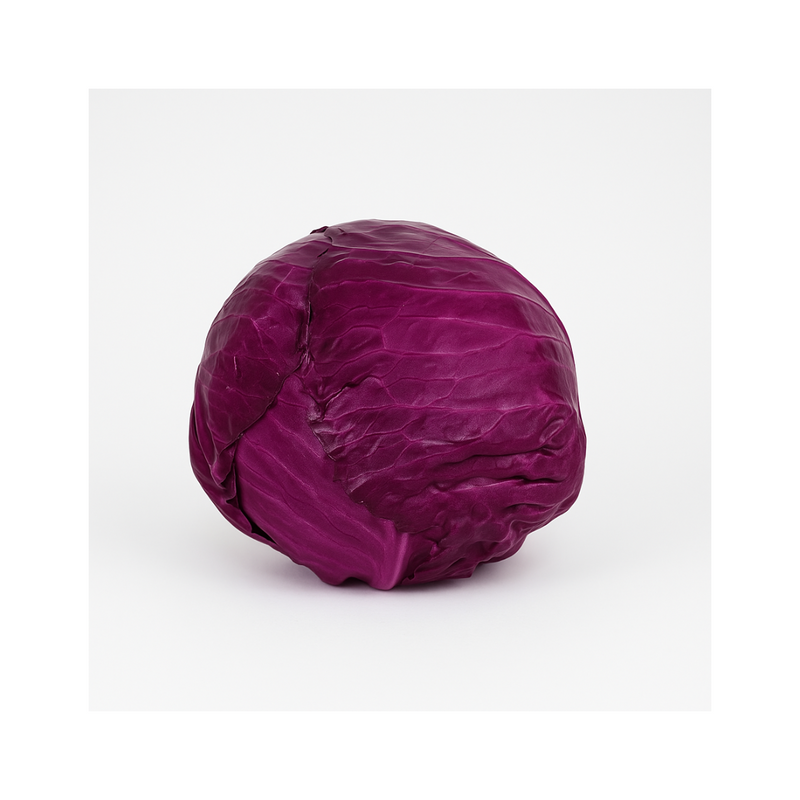 REPOLHO HIBRIDO ROXO COLORADO AGROCINCO 500 SEMENTES
