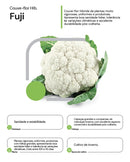 Couve Flor Hibrida Inverno Fuji Horticeres 1000 Sementes