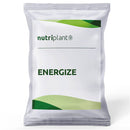 FERTILIZANTE FOLIAR ENERGIZE 40% MO NUTRIPLANT 2KG