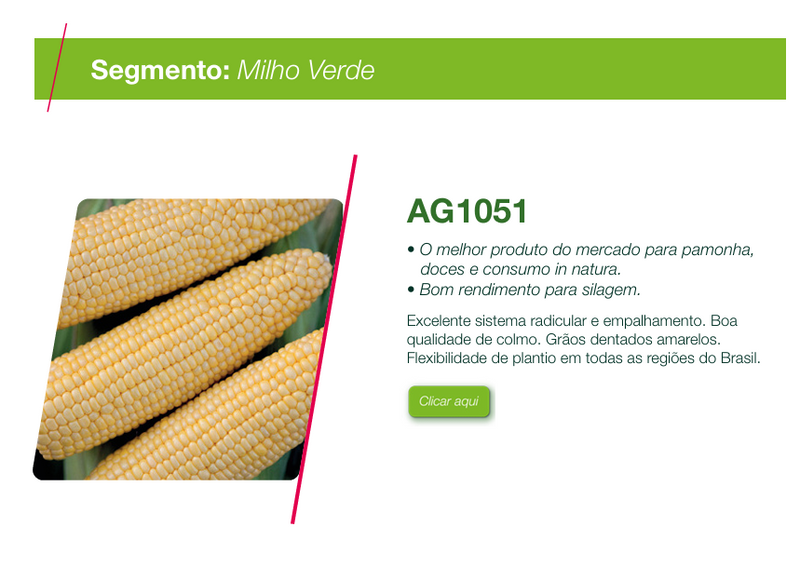 SEMENTES MILHO HIBRIDO AG1051 SEMINIS 1KG