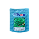 SEMENTES SALSA GRAUDA PORTUGUESA TOPSEED 100G