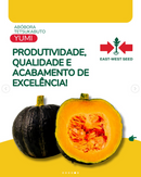 ABOBORA HIBRIDA TETSUKABUTO YUMI EWS 1000 SEMENTES