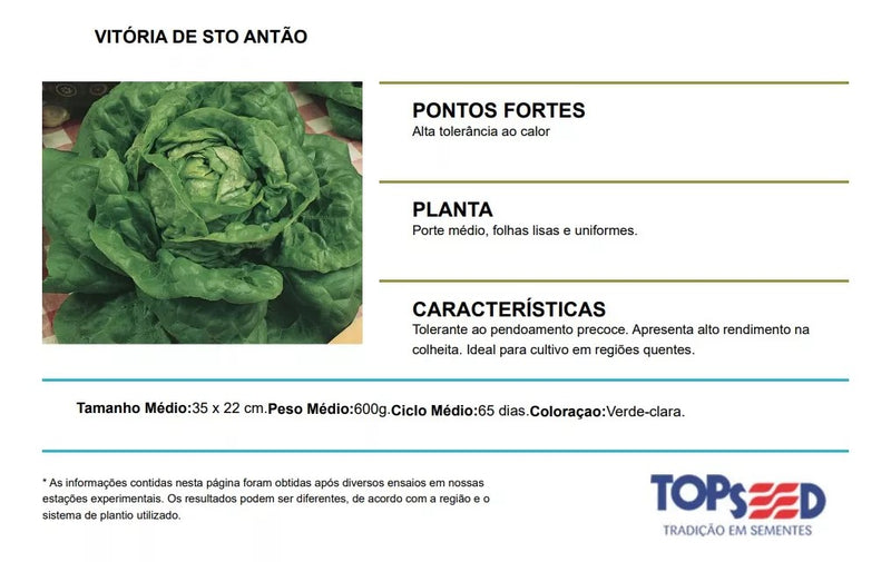 SEMENTES ALFACE LISA VITORIA DE SANTO ANTAO TOPSEED 50G