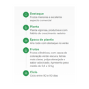 SEMENTES ABÓBORA MINI PAULISTA HORTICERES 100G
