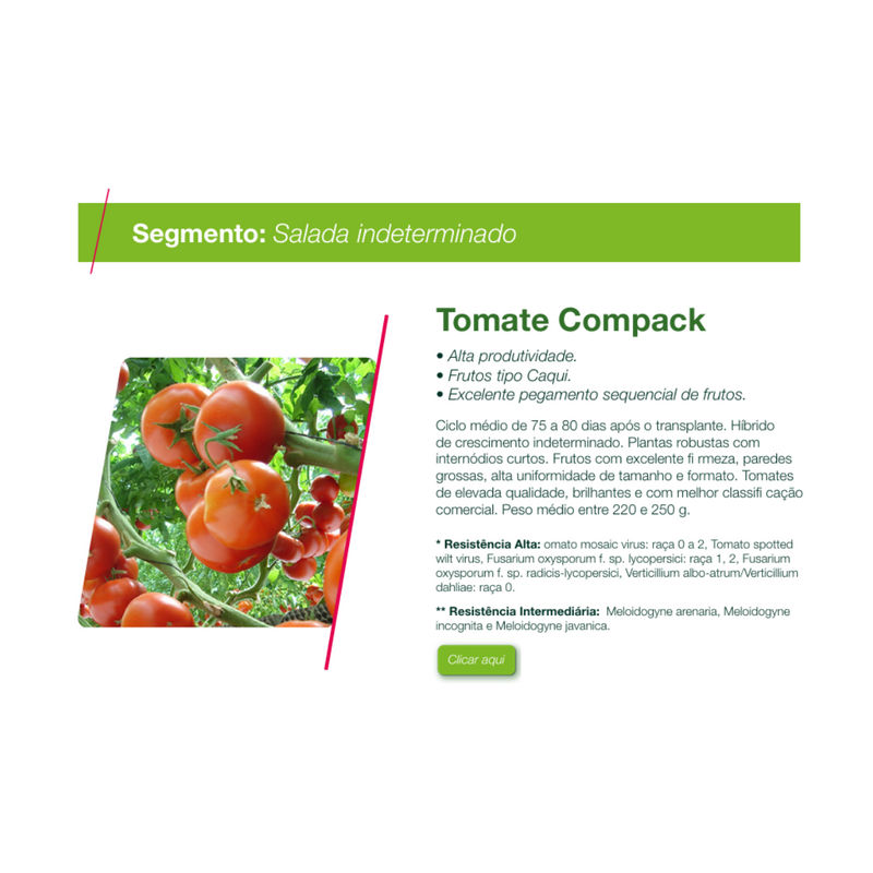 TOMATE HIBRIDO COMPACK SEMINIS 1000 SEMENTES