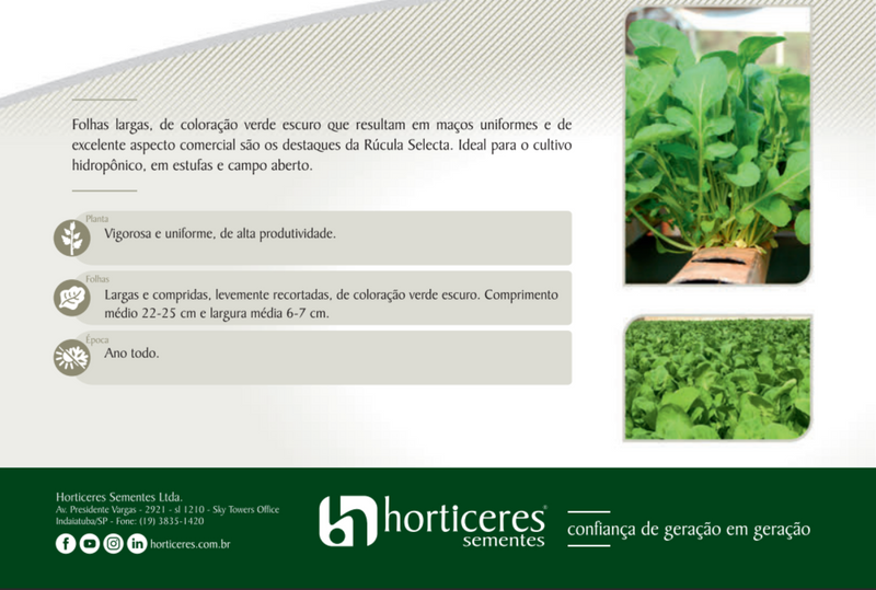 SEMENTES RUCULA SELECTA HORTICERES 500G