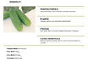 PEPINO HIBRIDO BONANZA F1 TOPSEED 3000 SEMENTES