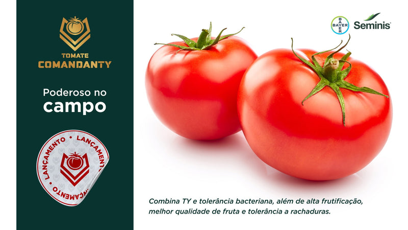 TOMATE HIBRIDO COMANDANTY SEMINIS 1000 SEMENTES