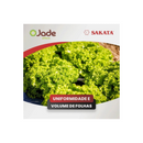 ALFACE CRESPA JADE SAKATA 7500 SEMENTES