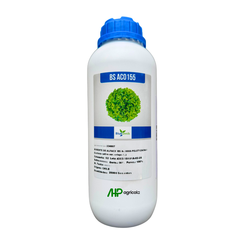 ALFACE CRESPA BS AC0155 BLUESEEDS 25.000 SEMENTES
