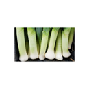 SEMENTES ALHO PORRO HIBRIDO ATAL HORTICERES 100G