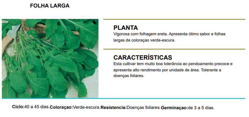 SEMENTES RUCULA FOLHA LARGA TOPSEED 100G