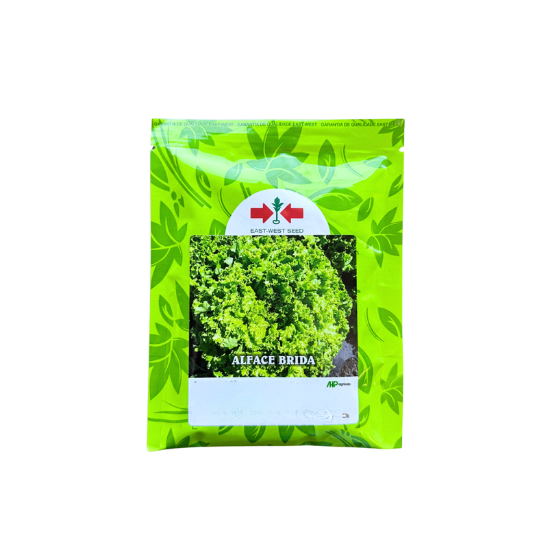 ALFACE CRESPA BRIDA EWS 3000 SEMENTES