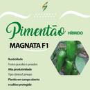 SEMENTES PIMENTÃO MAGNATA EAST WEST 1000 SEMENTES