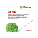 Alface Crespa Milena Sakata 25000 Sementes