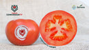 TOMATE HIBRIDO COMANDANTY SEMINIS 1000 SEMENTES
